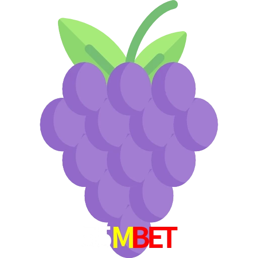 55Mbet